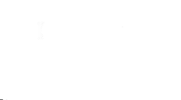 Stan Kimbrough Basketball Training