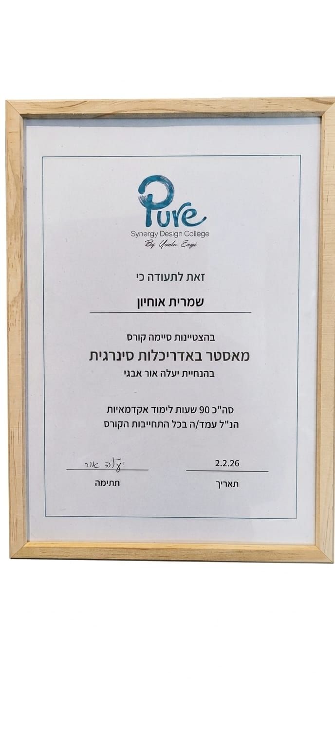 תעודת מאסטר באדריכלות סינרגית