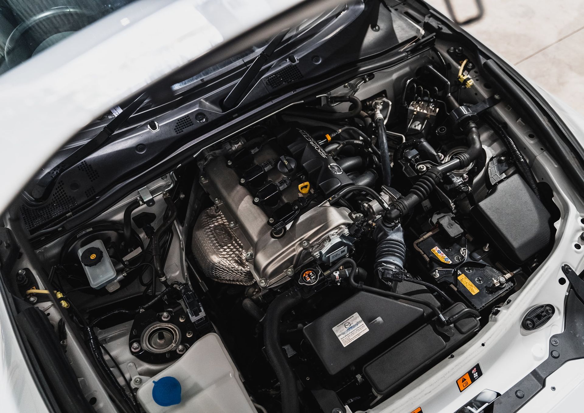Close-Up of An Open Car Engine Bay — Gardiner Automotive & Performance in Rutherford, NSW