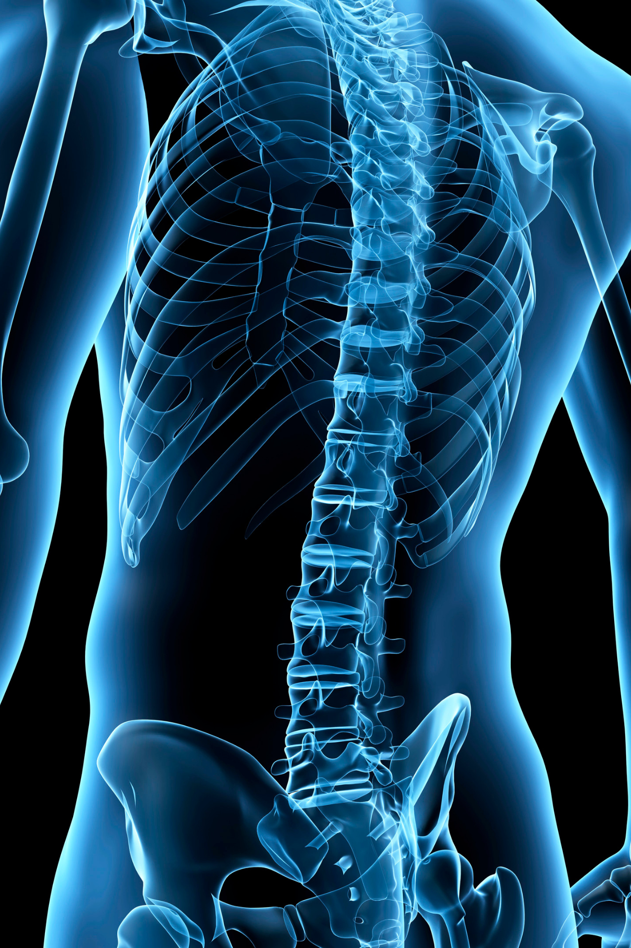 Spine Injury Crown Point IN