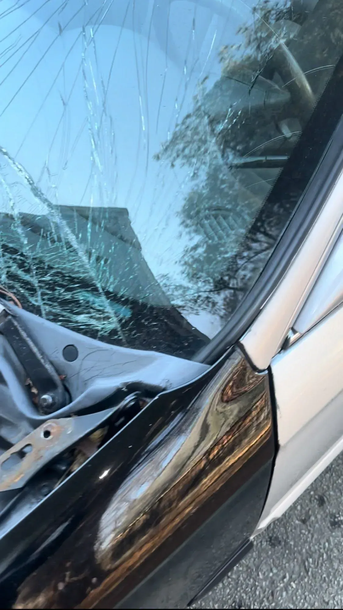 Damaged windshield photographed before auto glass replacement