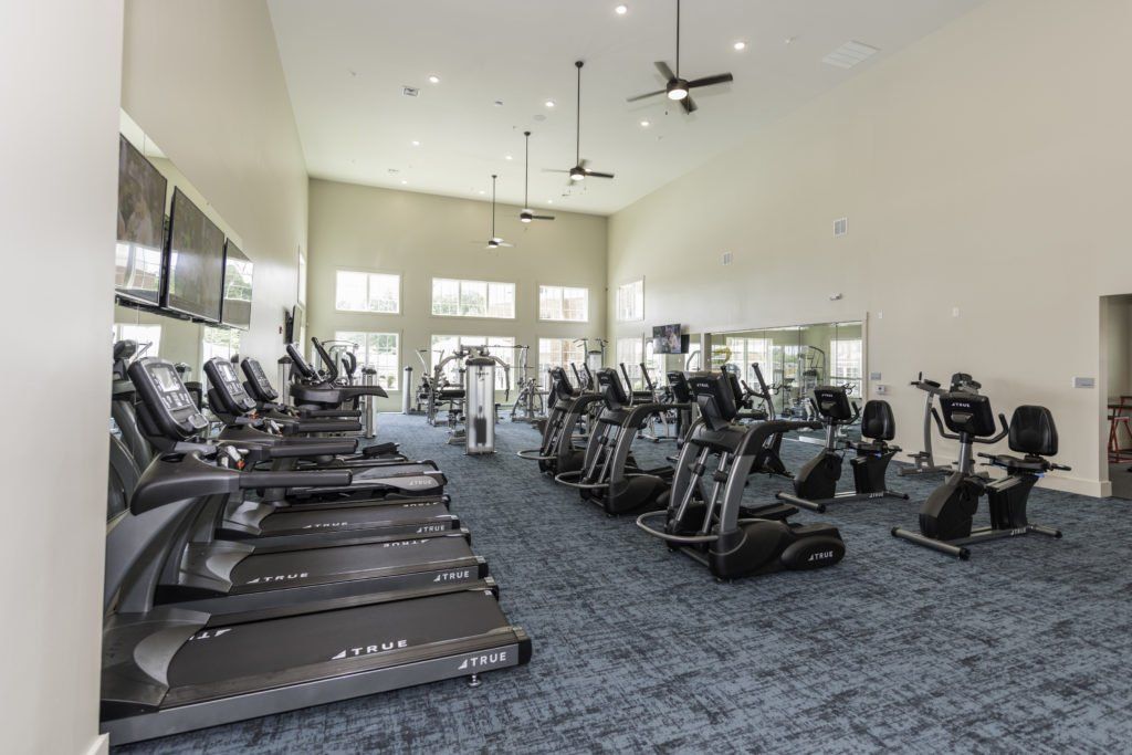 Silver Collection at Carl D. Silver Parkway Fitness Center, featuring cardio equipment, treadmills, and exercise bikes in Fredericksburg, VA