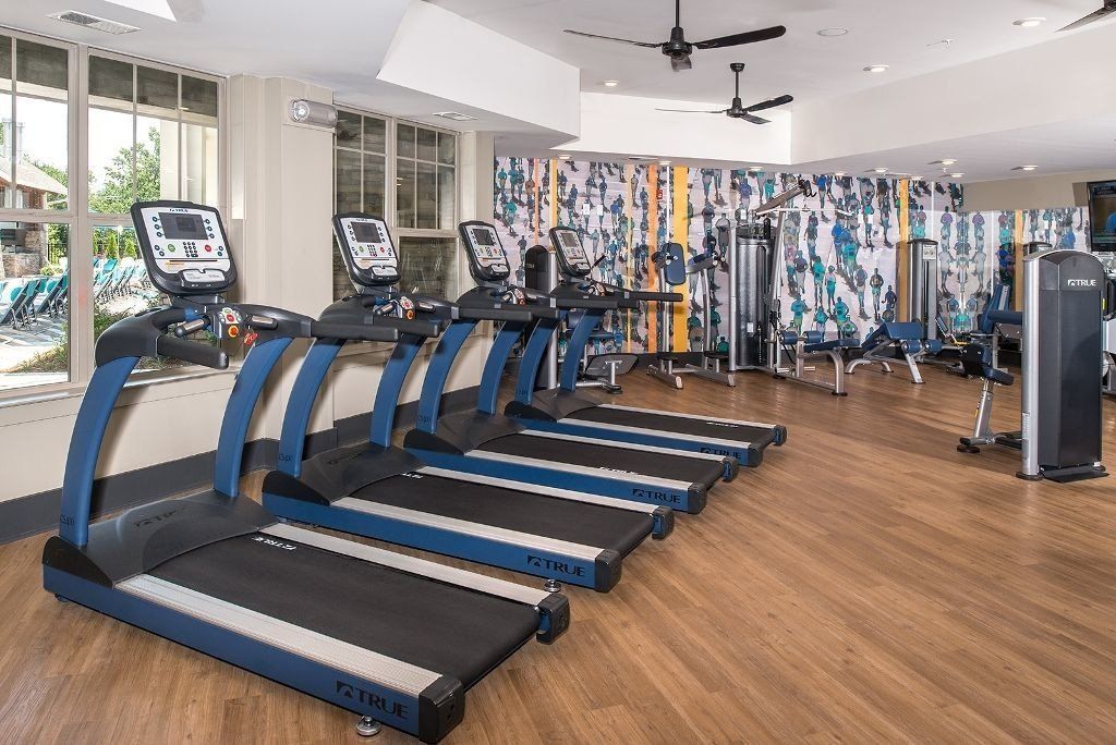 Silver Collection at The Park fitness center with treadmills, exercise equipment, and large windows overlooking greenery in Huntersville, NC.