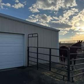 Horse standing in a fenced pen beside a white barn at sunset