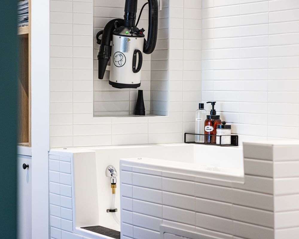 Dog wash station, white tiled, with a drying machine, shampoo, and shower head.