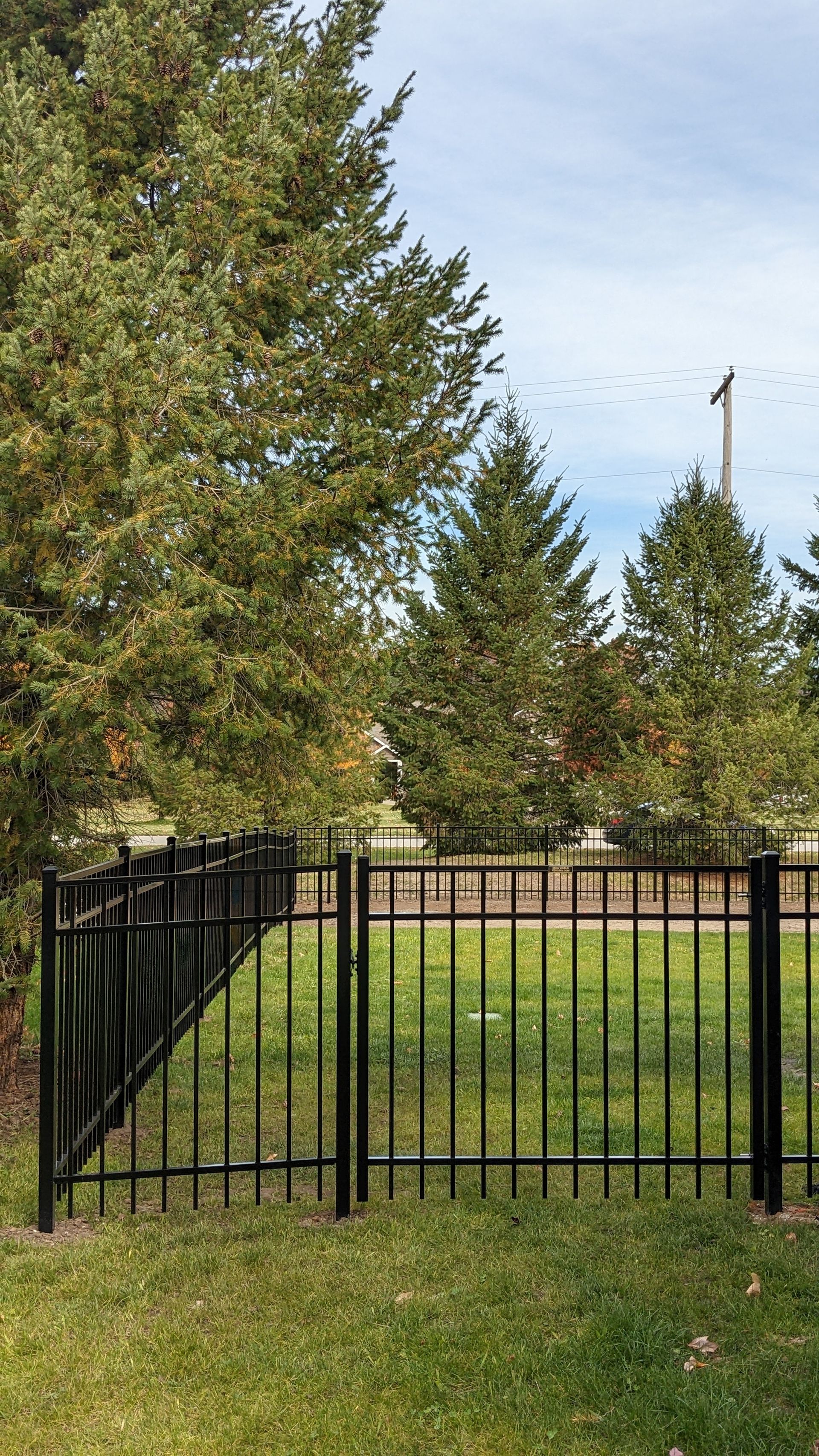 A black metal fence surrounds a grassy field with trees in the background.