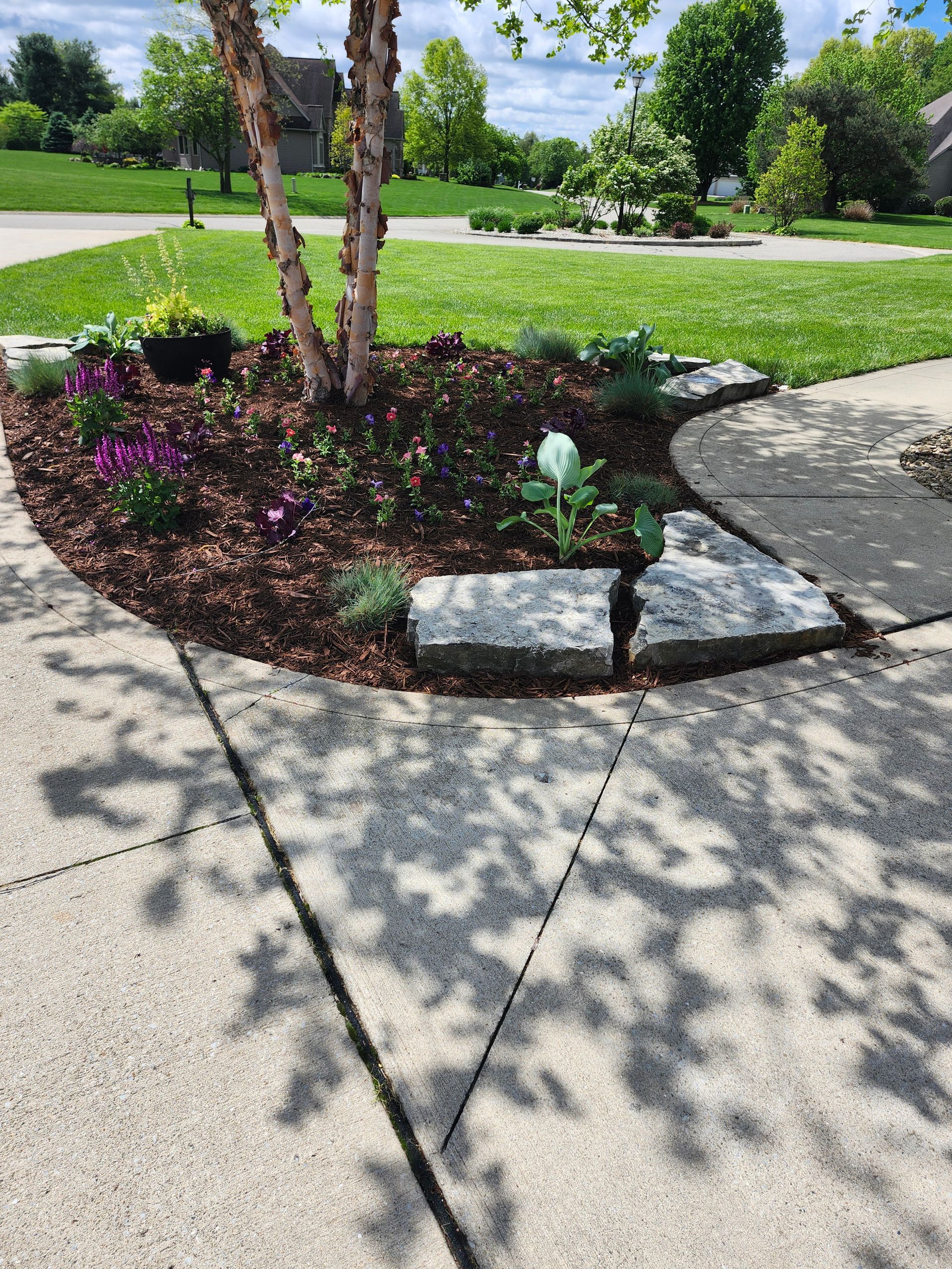 A concrete walkway with a tree in the middle of it.