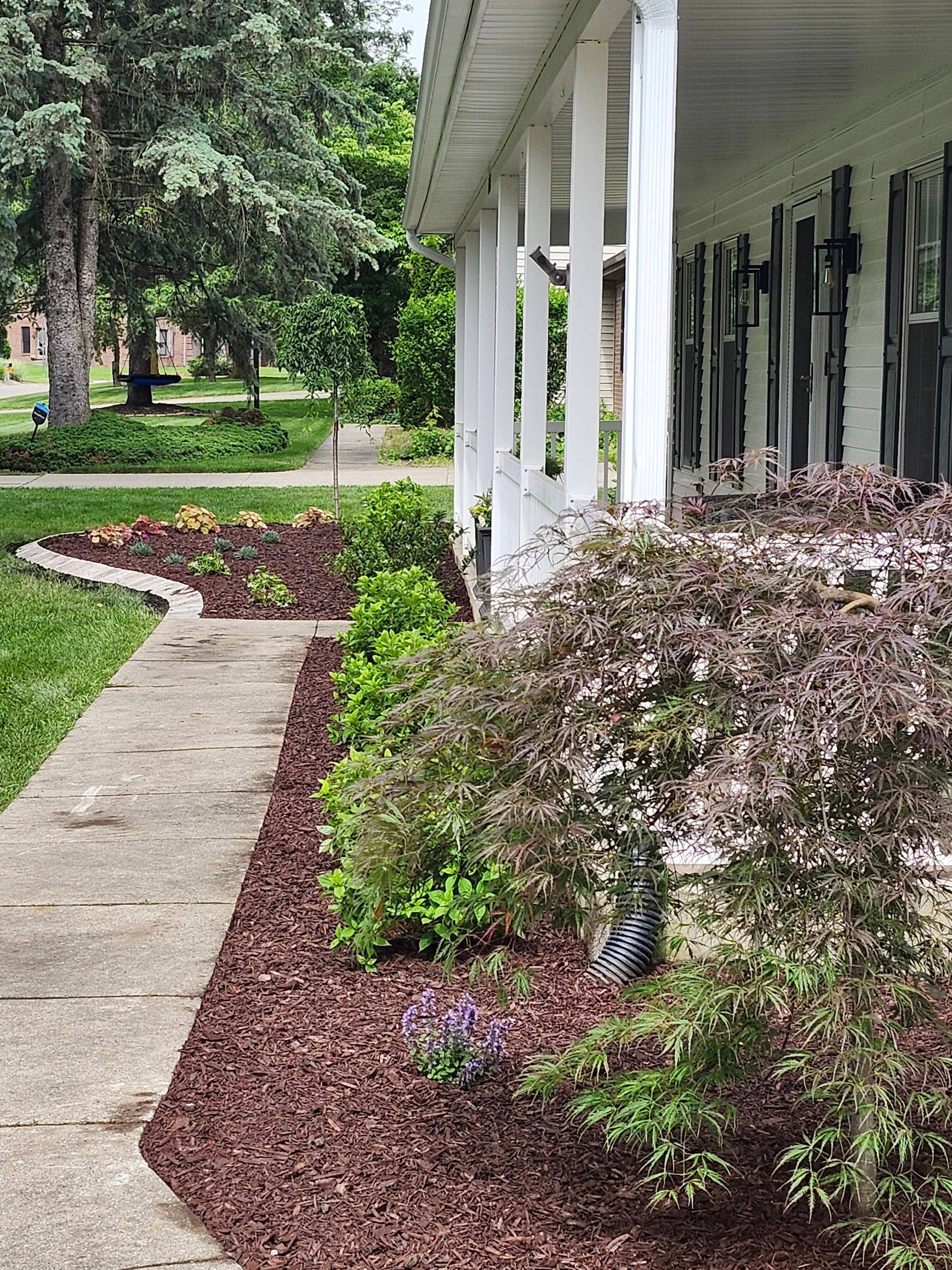 A walkway leading to a porch of a house surrounded by trees and bushes.