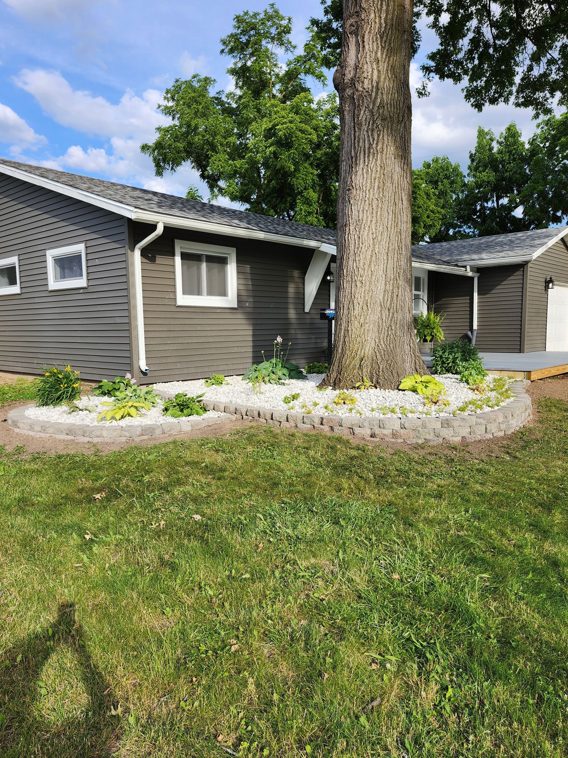 A house with a large tree in front of it.