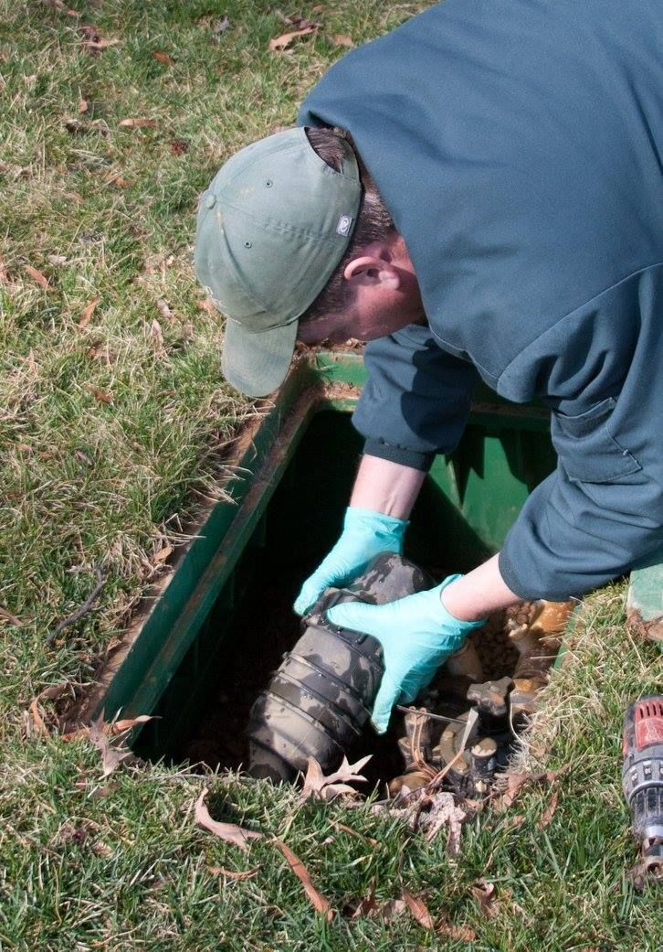Person in gloves lifting a dog from a dark opening in the ground on grass.