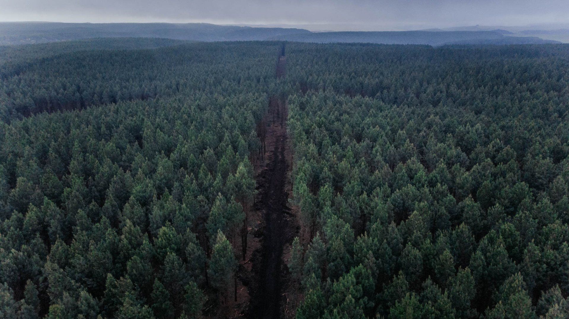 Uma vista aérea de uma floresta com uma estrada passando por ela.