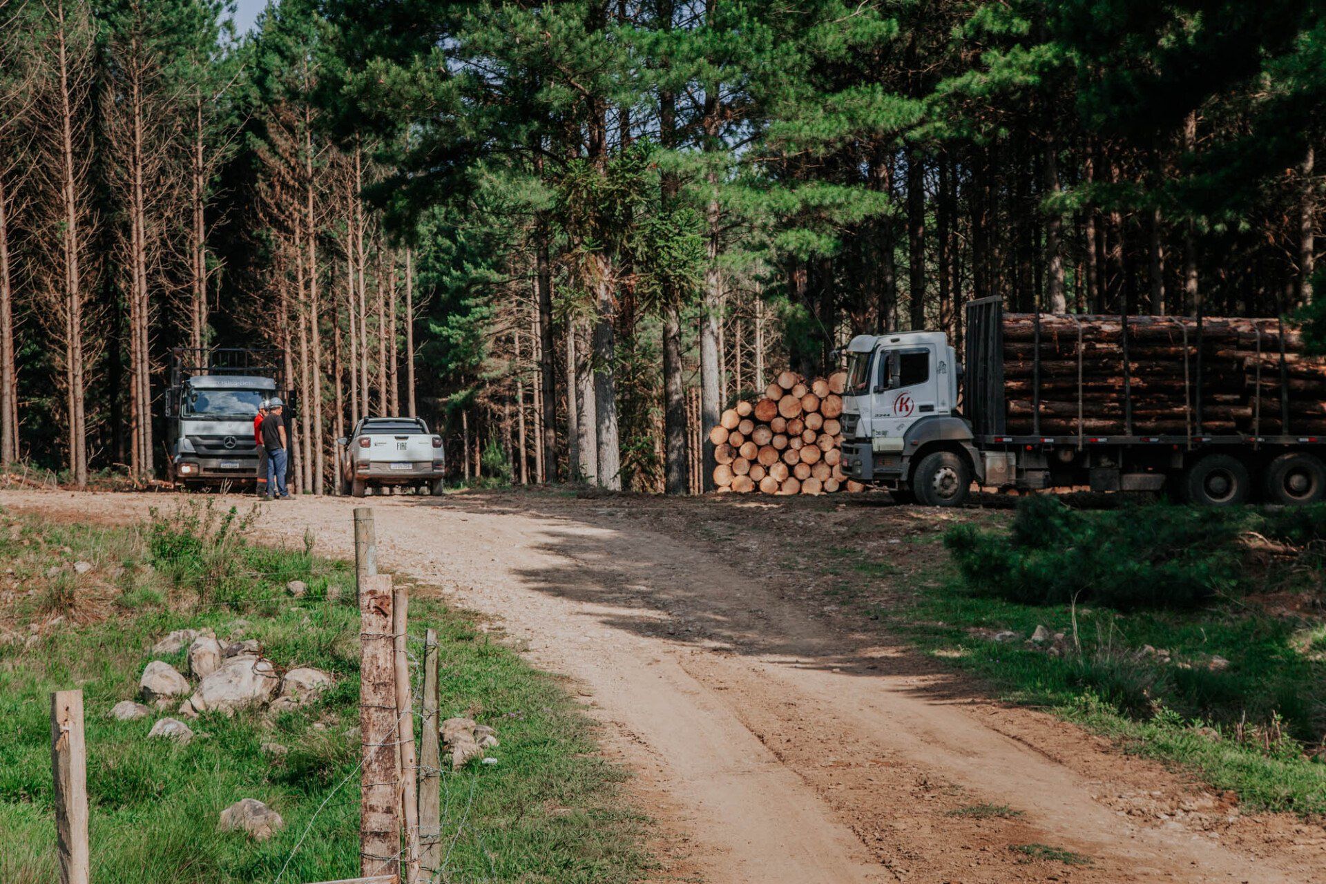 Um caminhão está dirigindo por uma estrada de terra ao lado de uma pilha de toras.