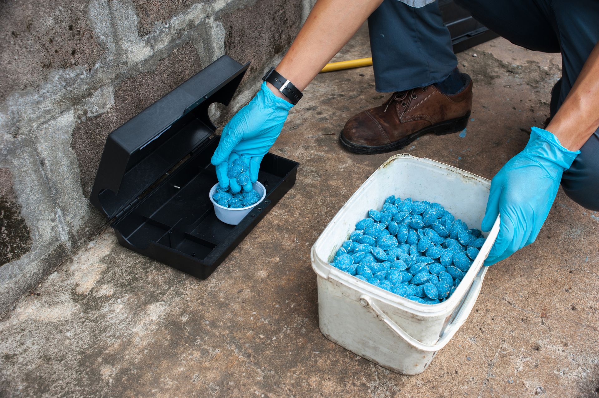 An expert from Patriot Pest Management is providing rodent control with a bait poison box to eliminate rats in Brentwood, CA