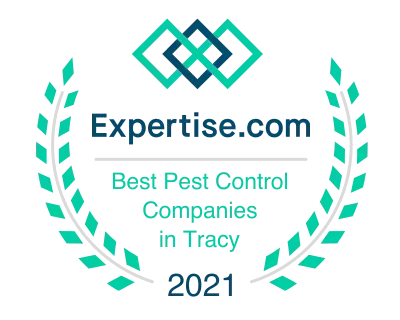 Expertise