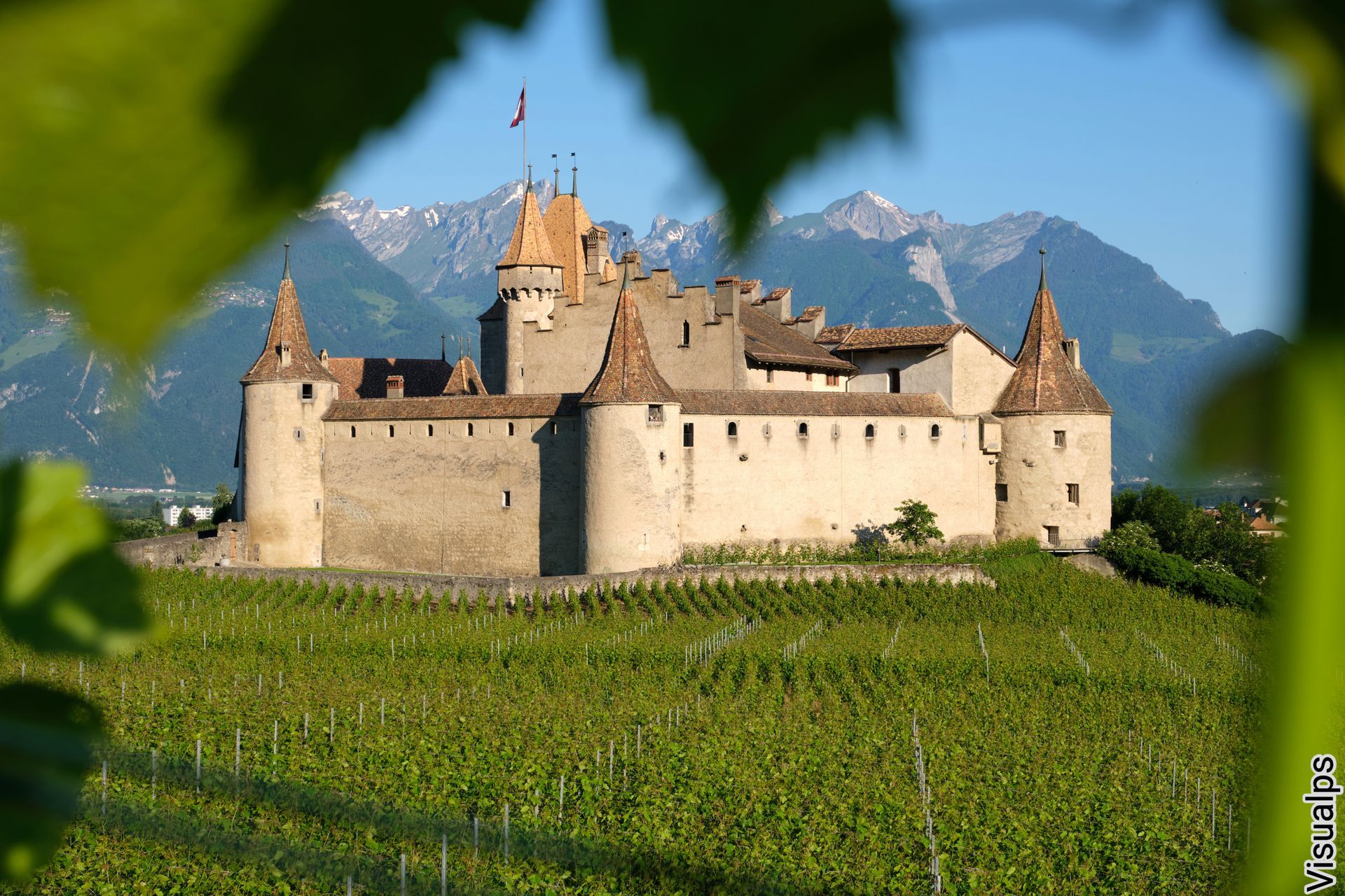 Stone castle among green vineyards with mountains in the background, framed by leaves in the foreground