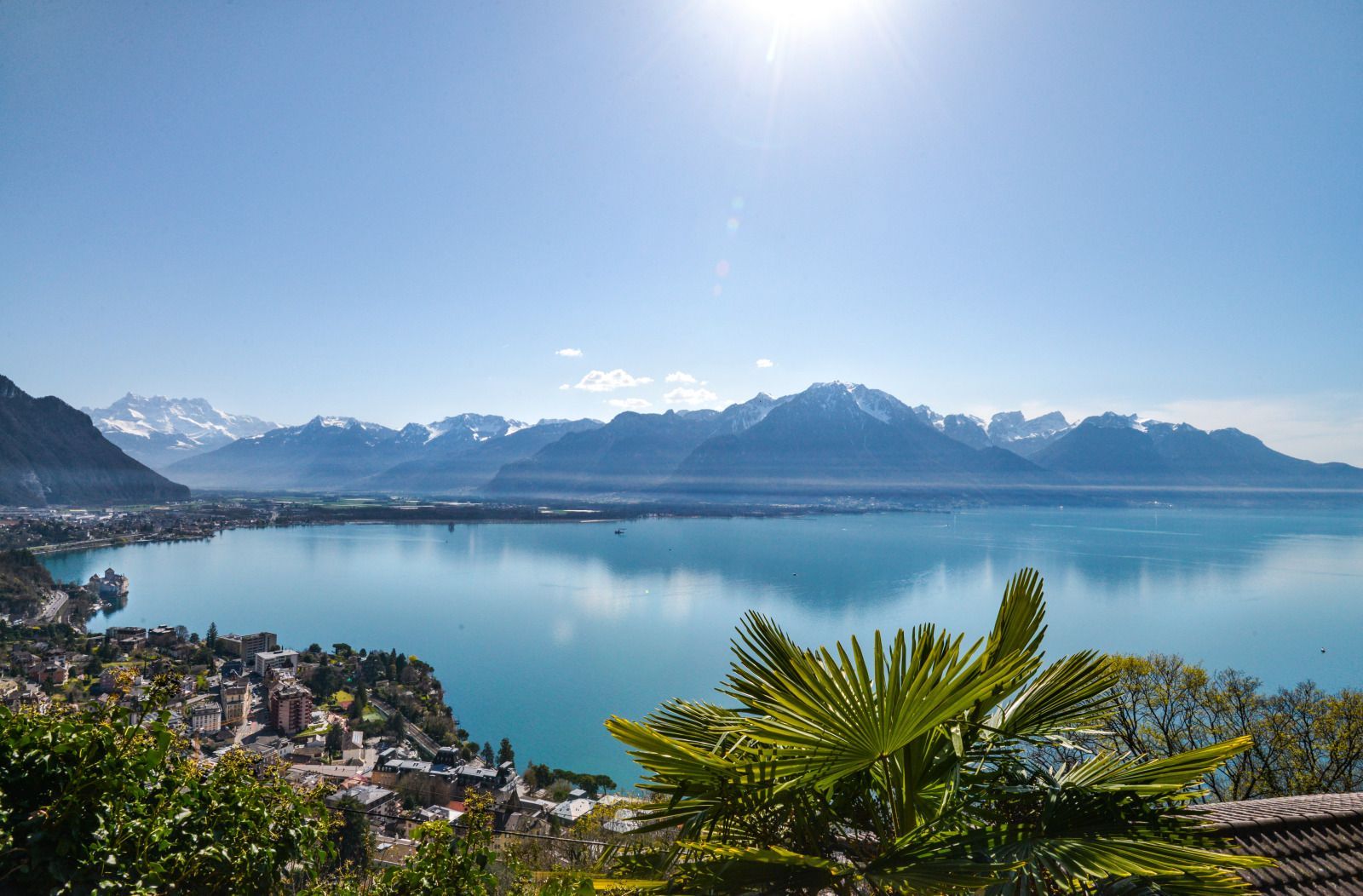 Sunlit alpine lake with mountains in the distance and palm leaves framing the foreground