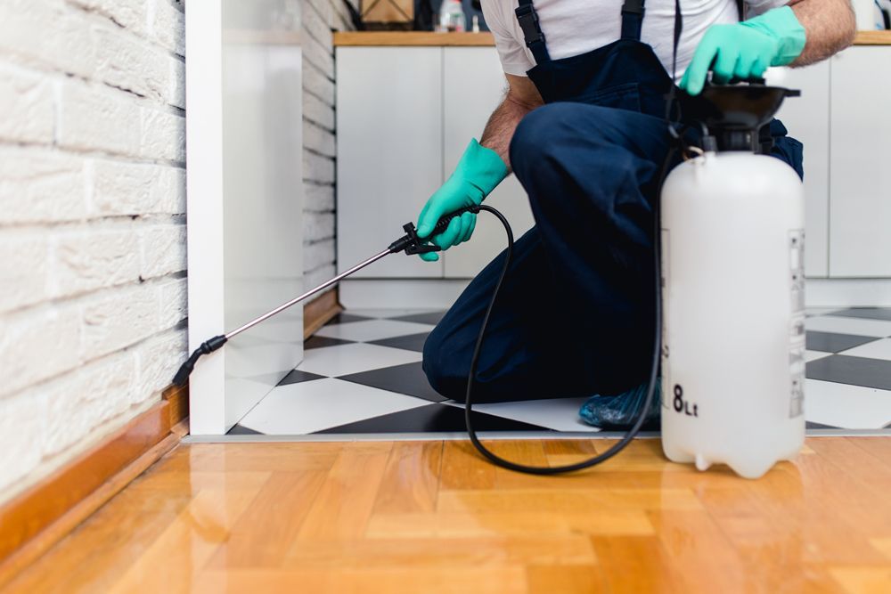 Professional Worker Spraying Pesticides