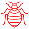 Bed Bug Icon