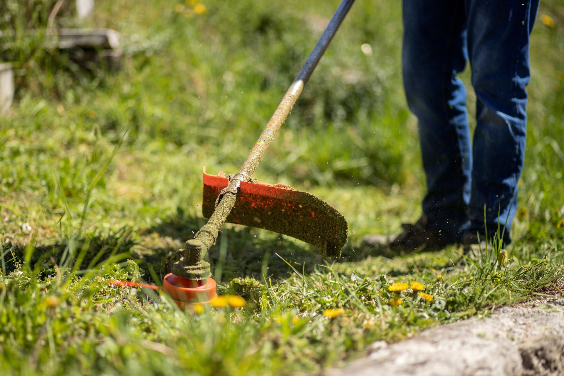 A person is cutting grass with a lawn mower