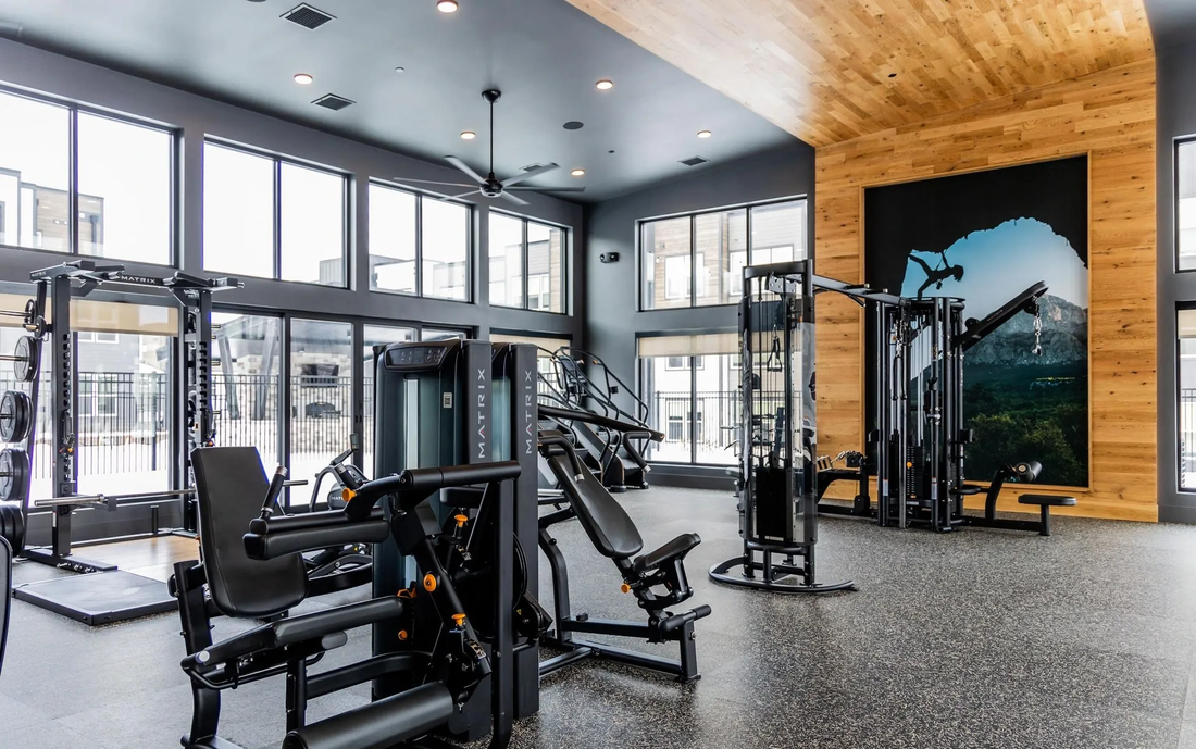 Modern gym interior with exercise machines, large windows, and a wood accent wall.