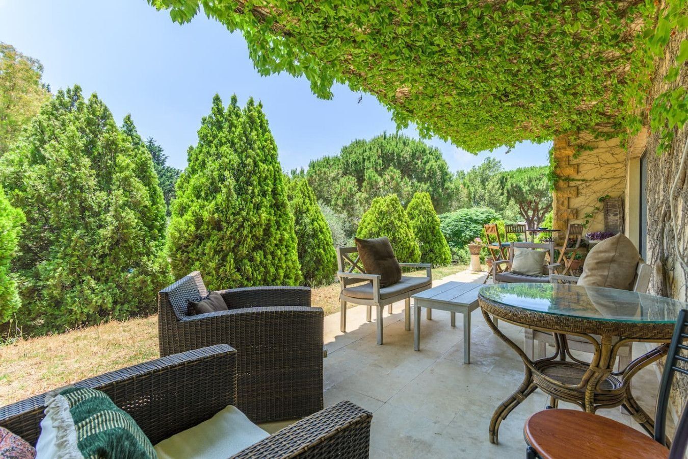 Covered stone terrace with garden furniture under climbing vines at La Maison du Maquis, Batroun
