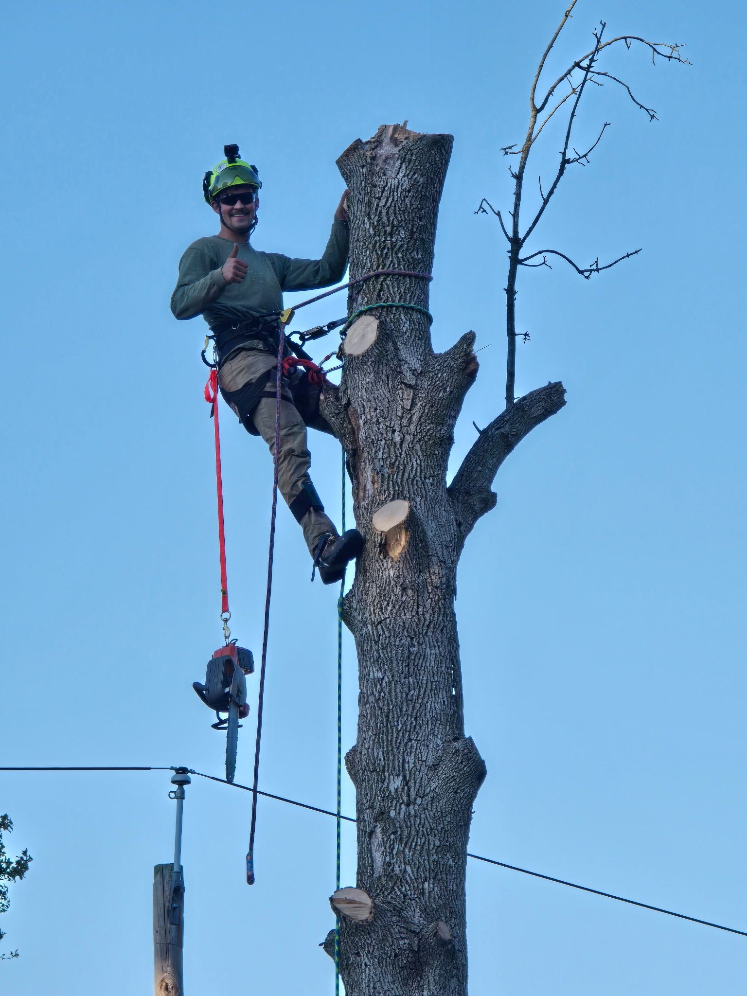 Tree Services in Penn Yan, NY | Brady Tree Services LLC