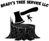 Tree Service in Penn Yan, NY | Brady Tree Services LLC Tree Service in Penn Yan, NY | Brady Tree Services LLC