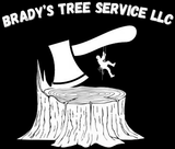 Tree Service in Penn Yan, NY | Brady Tree Services LLC Tree Service in Penn Yan, NY | Brady Tree Services LLC