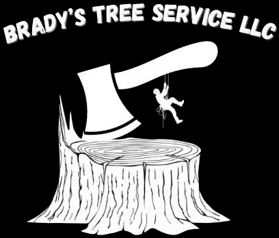 Tree Service in Penn Yan, NY | Brady Tree Services LLC Tree Service in Penn Yan, NY | Brady Tree Services LLC