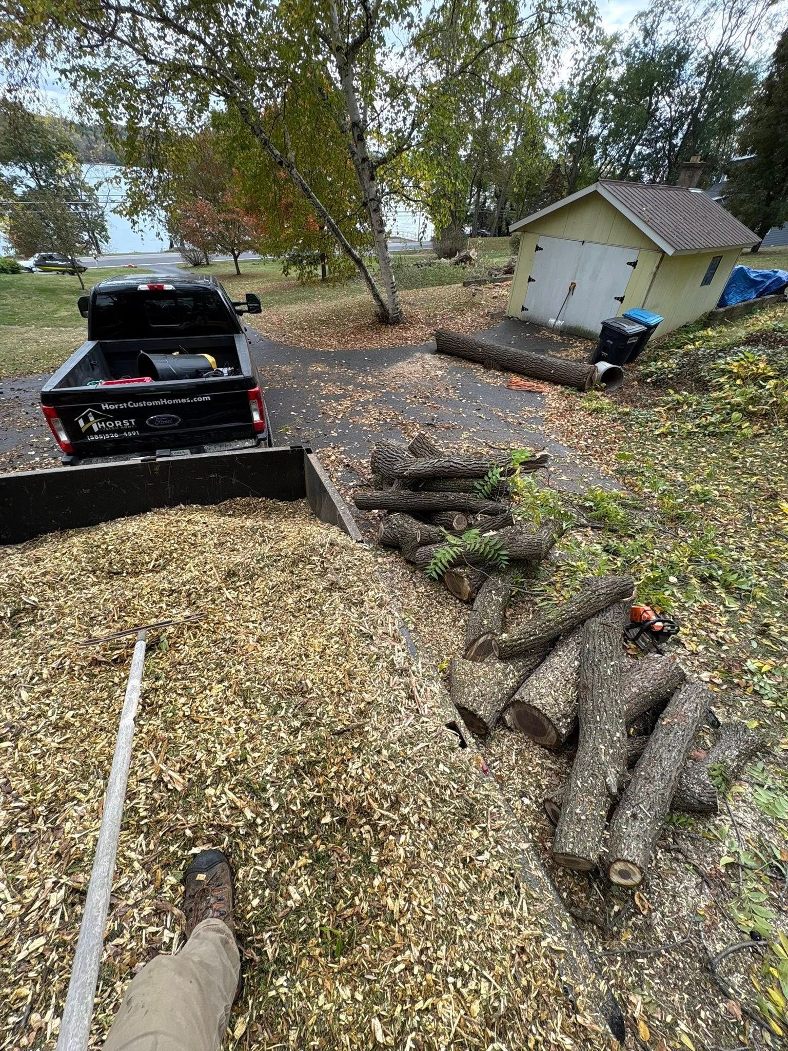 Tree Removal in Penn Yan, NY