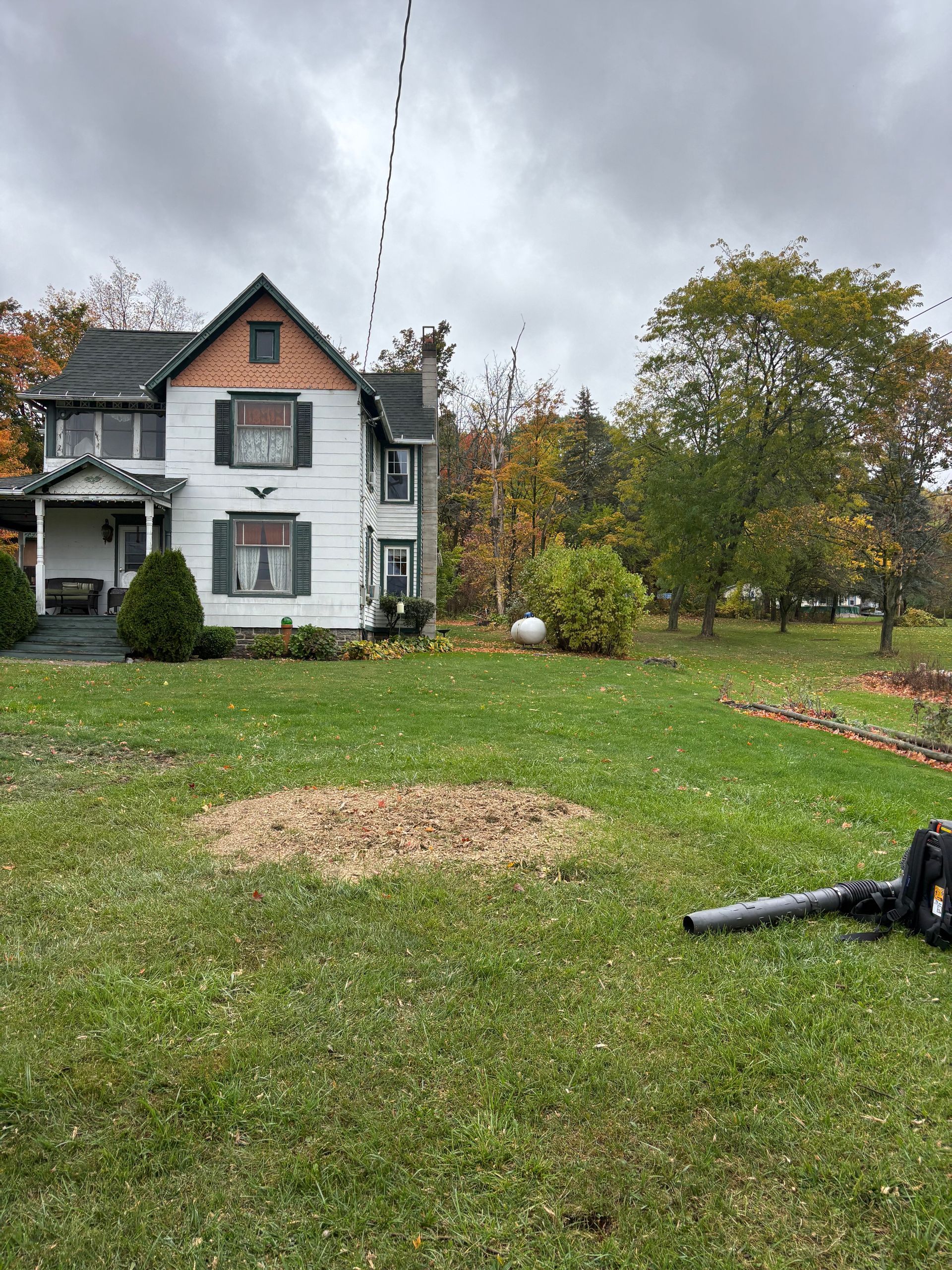 Stump Removal in Penn Yan, NY