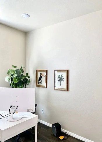A room with a desk , two pictures on the wall , and a plant.