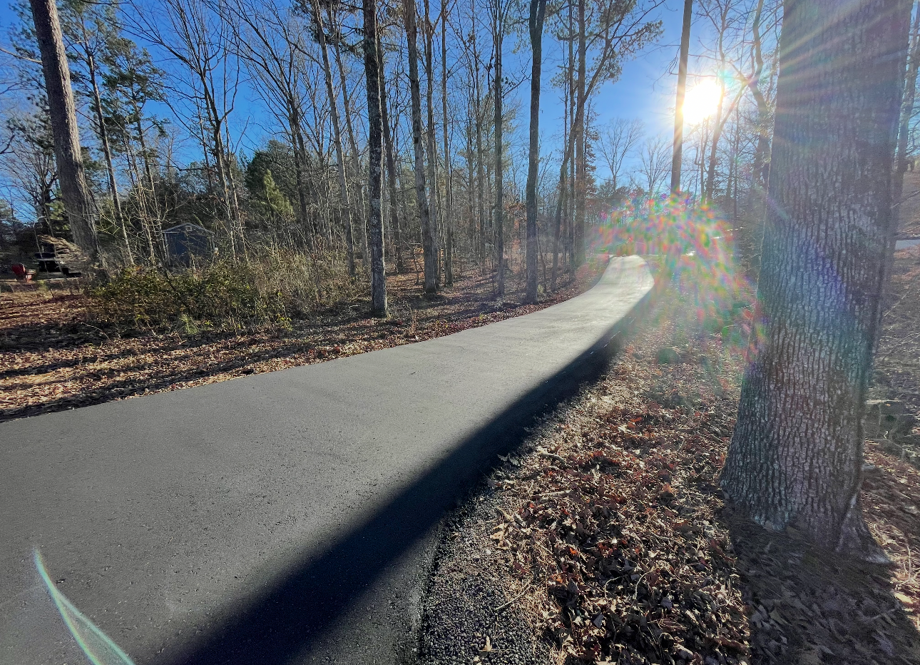Paved path winding through a sunlit forest; trees line both sides.