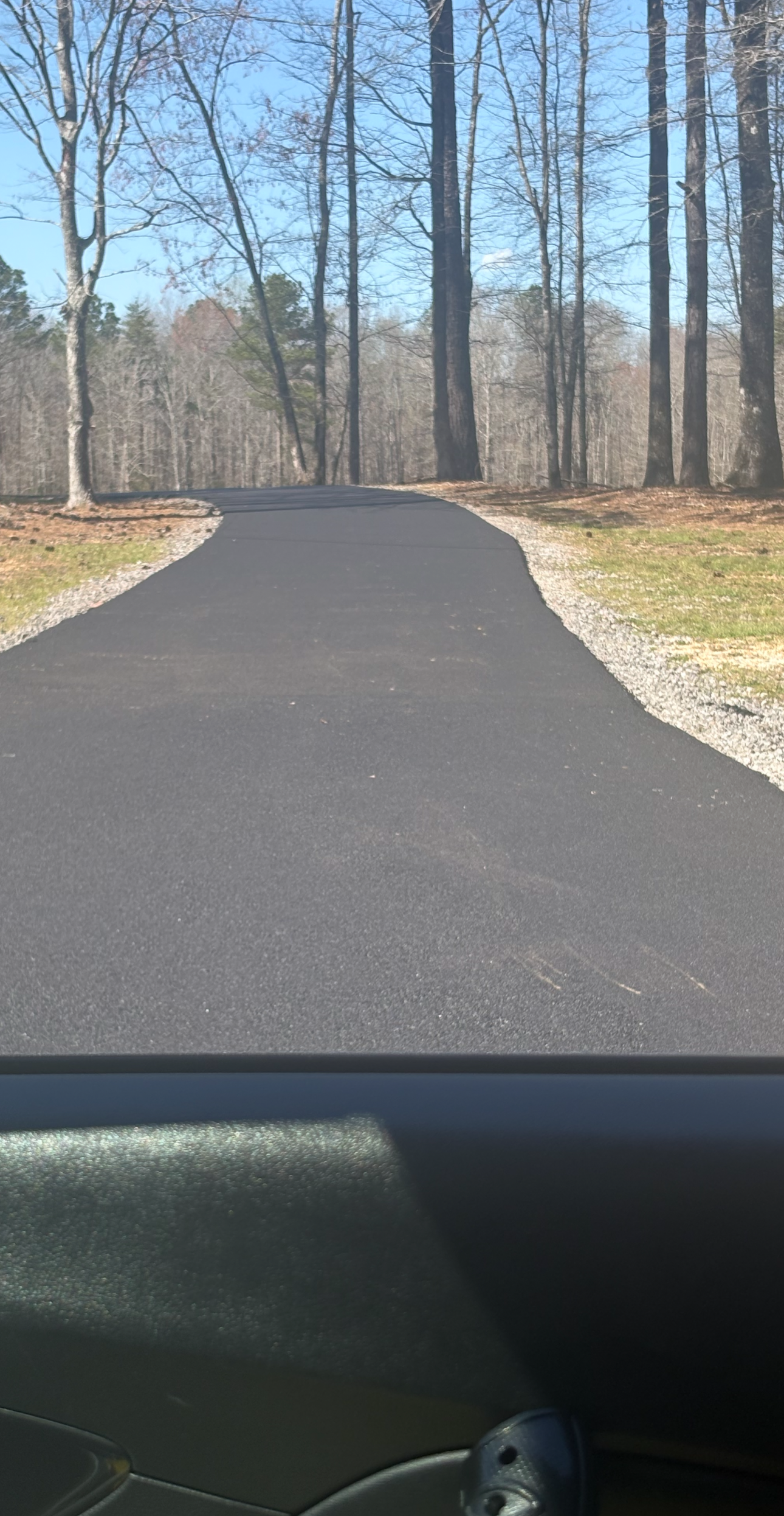 Asphalt driveway leading into a wooded area on a sunny day.