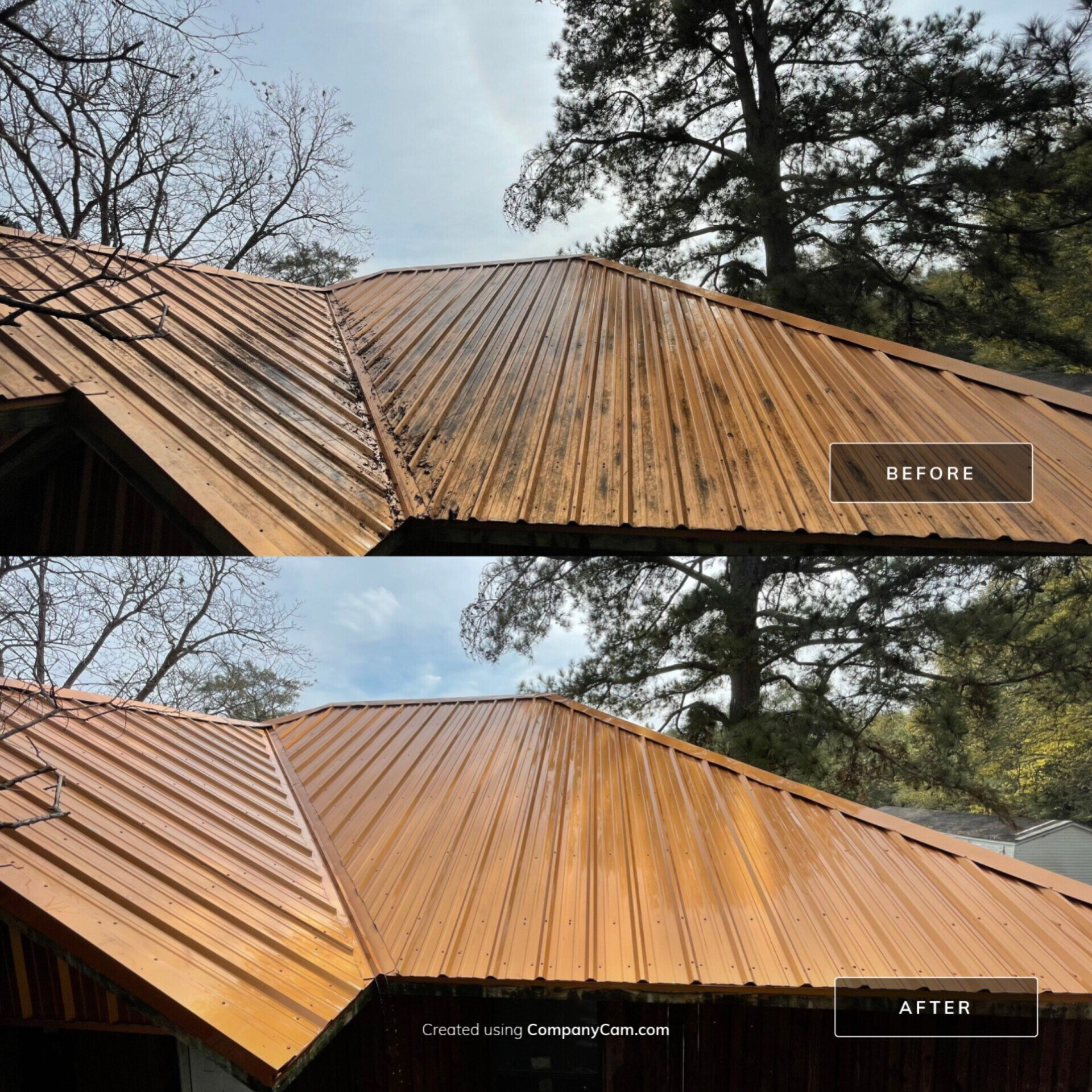 roof cleaning