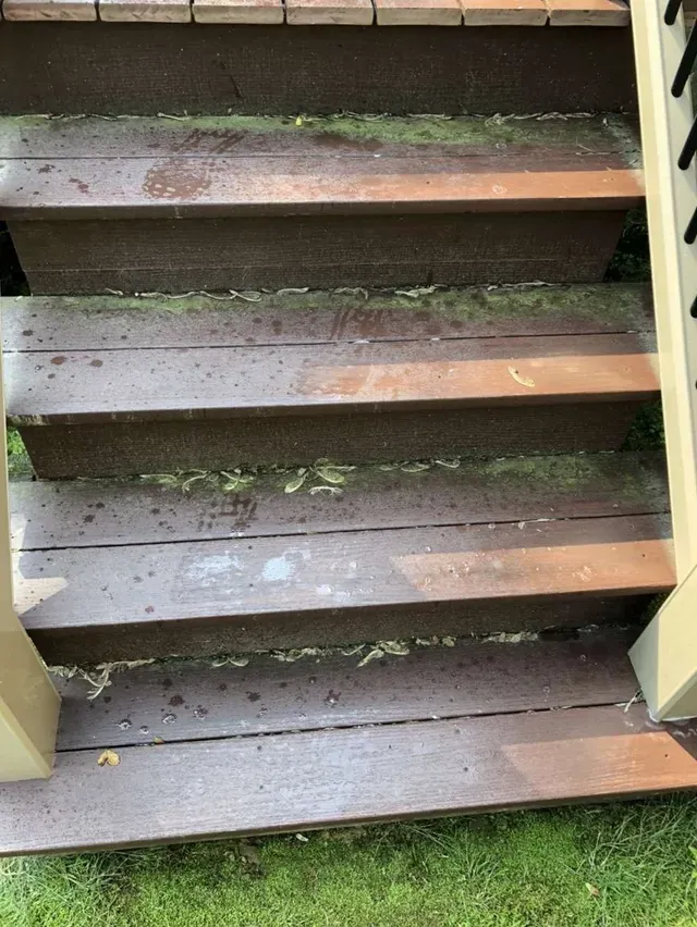 deck cleaning and paint near me