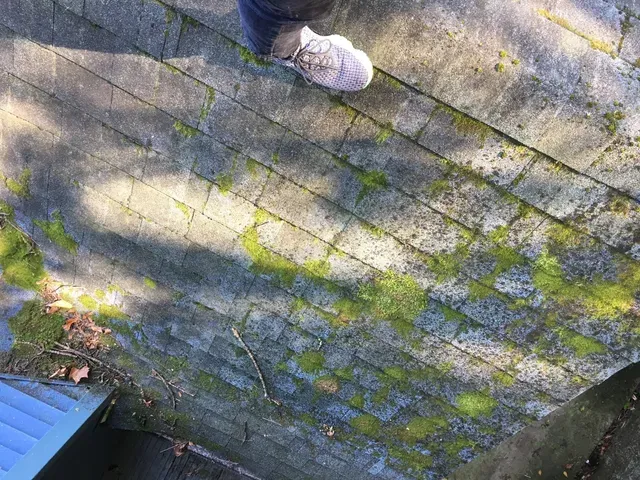 exterior cleaning syracuse new york