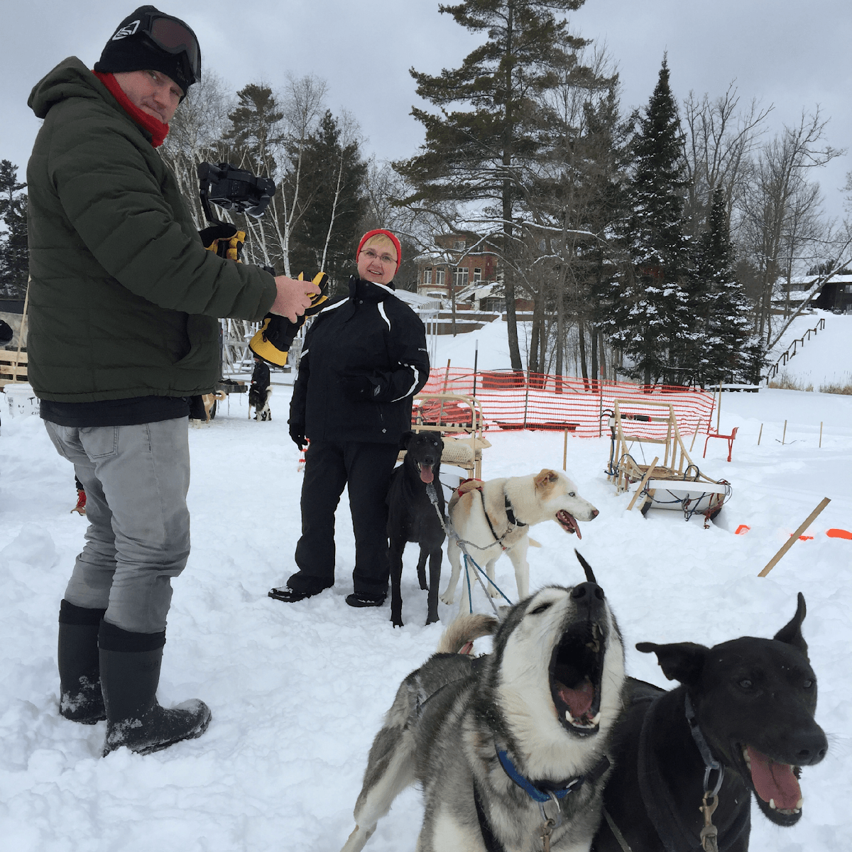 Eelpout Festival