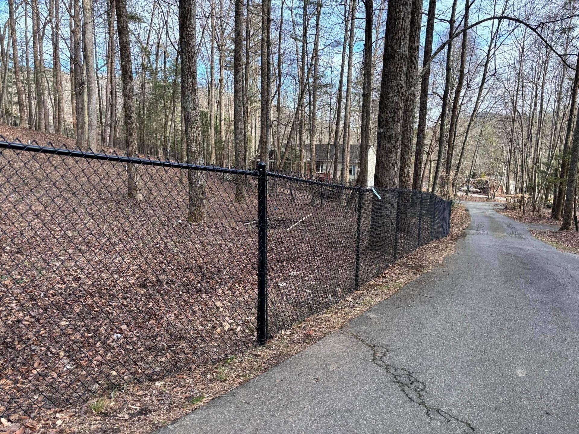 Chain-link fence along a wooded roadside with a paved path curving to the right