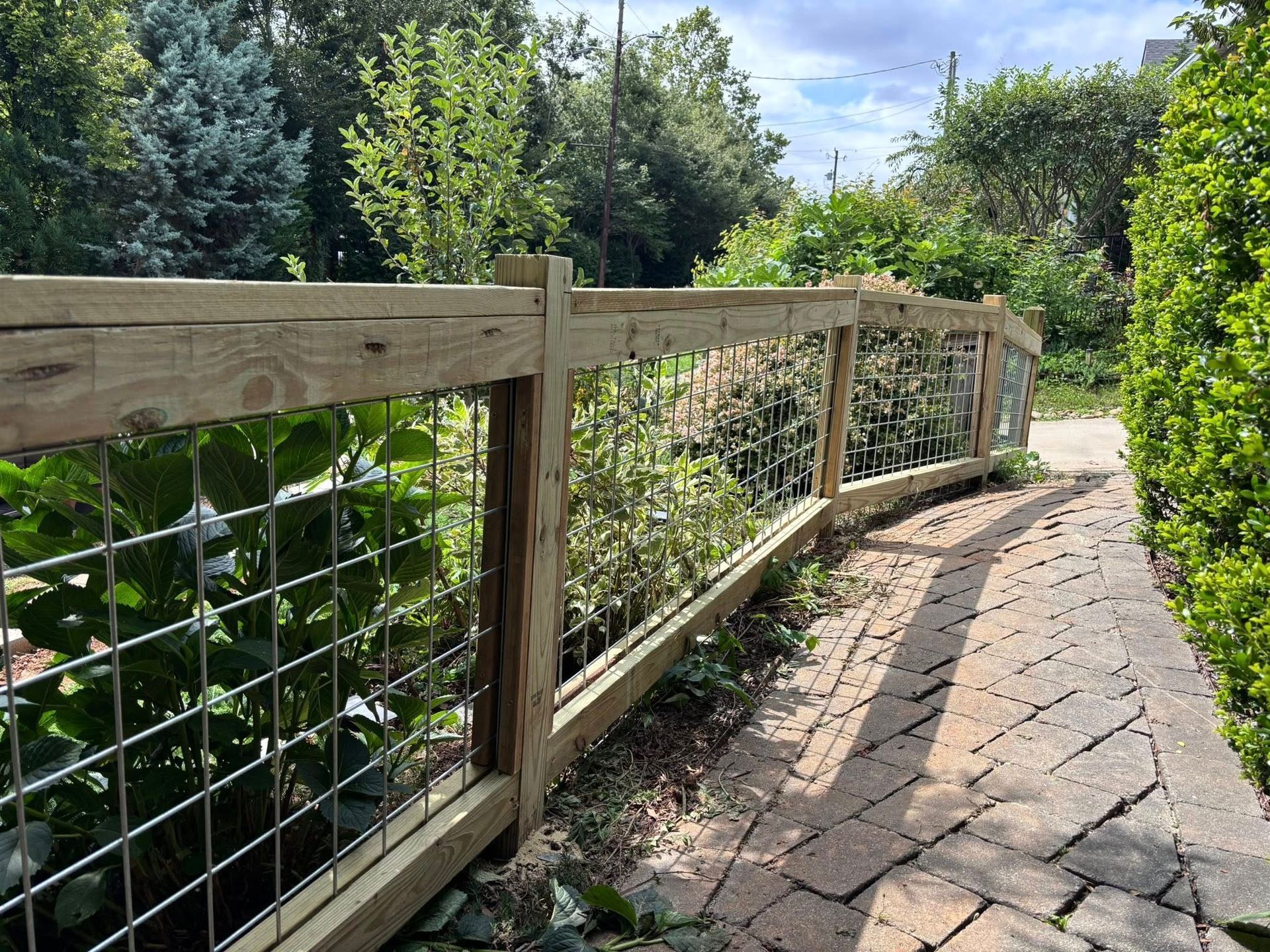 Wooden fence lining a brick path through a lush green garden on a sunny day