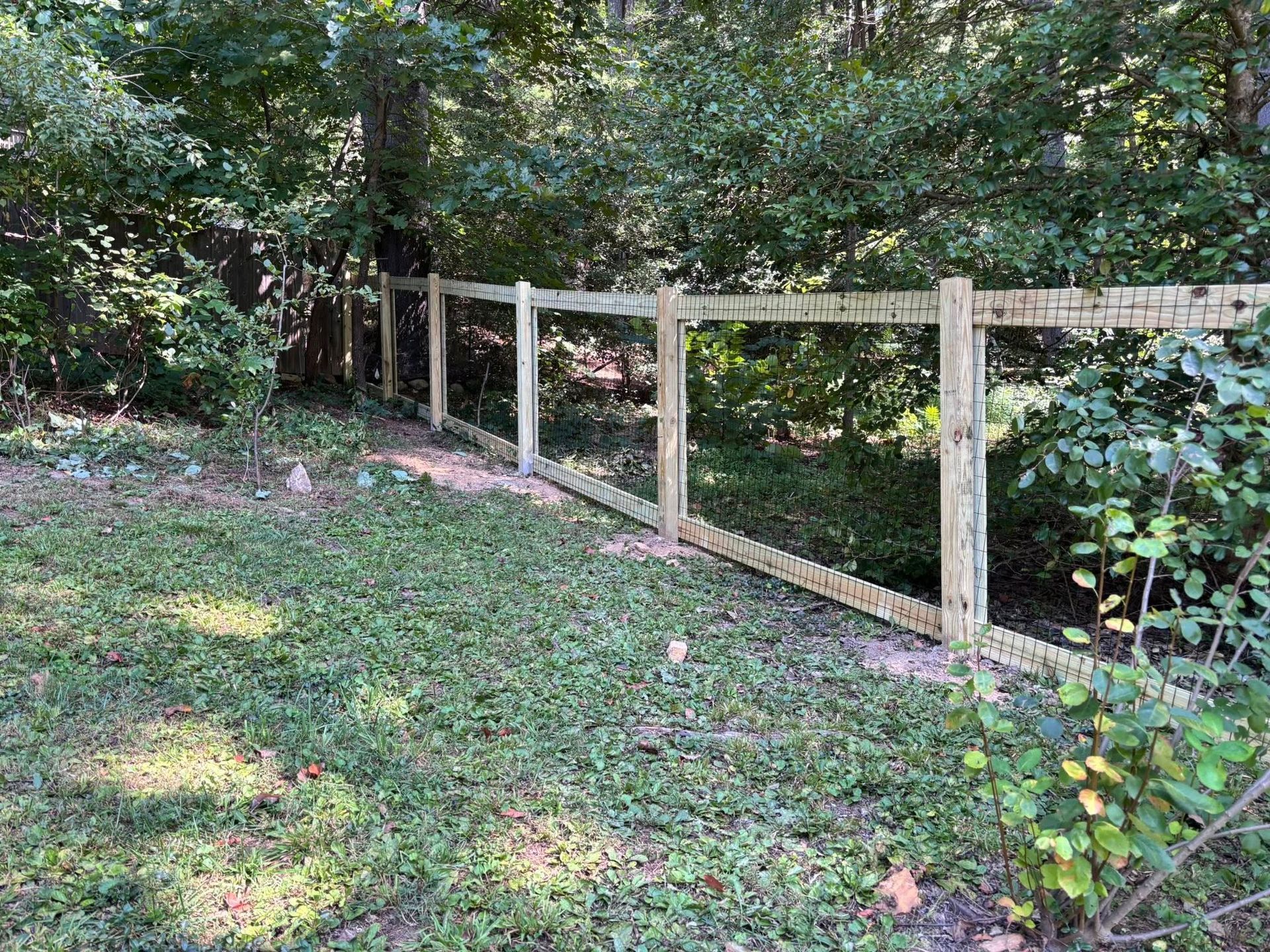 Wooden fence along a grassy woodland path beside dense green trees and shrubs