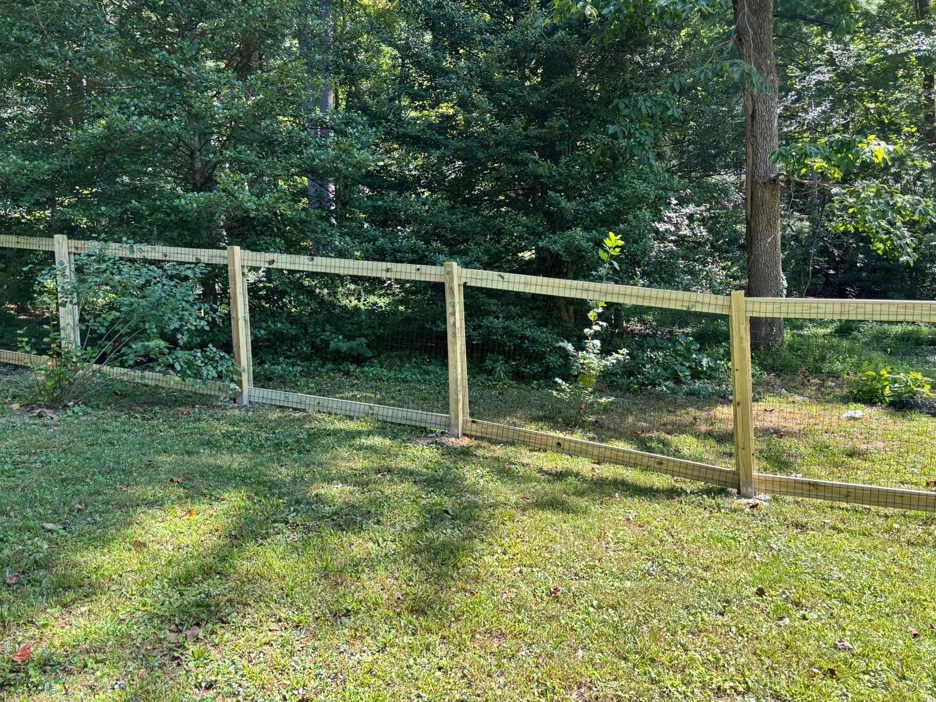 Wooden fence bordering a grassy yard with dense green trees and shrubs beyond.