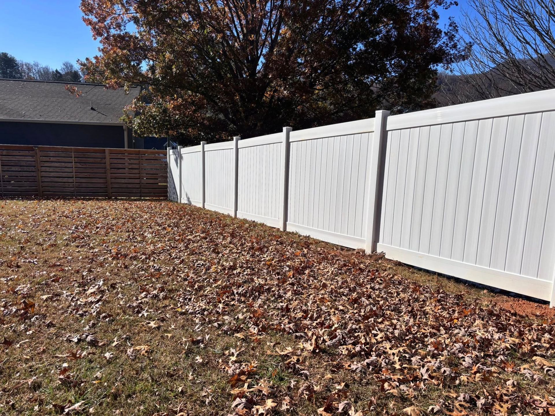 Backyard with white fence, leaf-covered grass, and trees in autumn