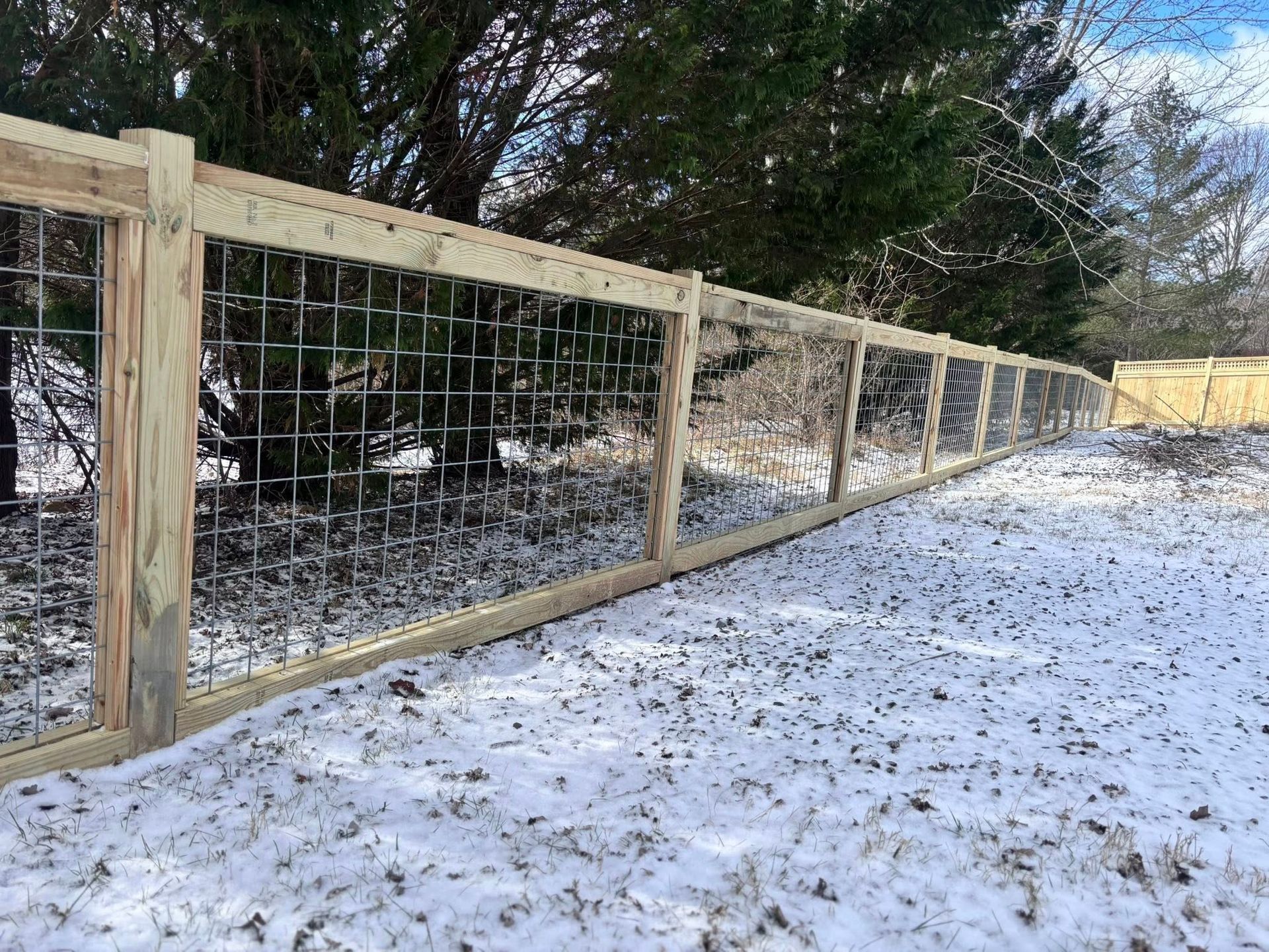 Wooden wire fence along a snowy path beside evergreen trees in a winter yard