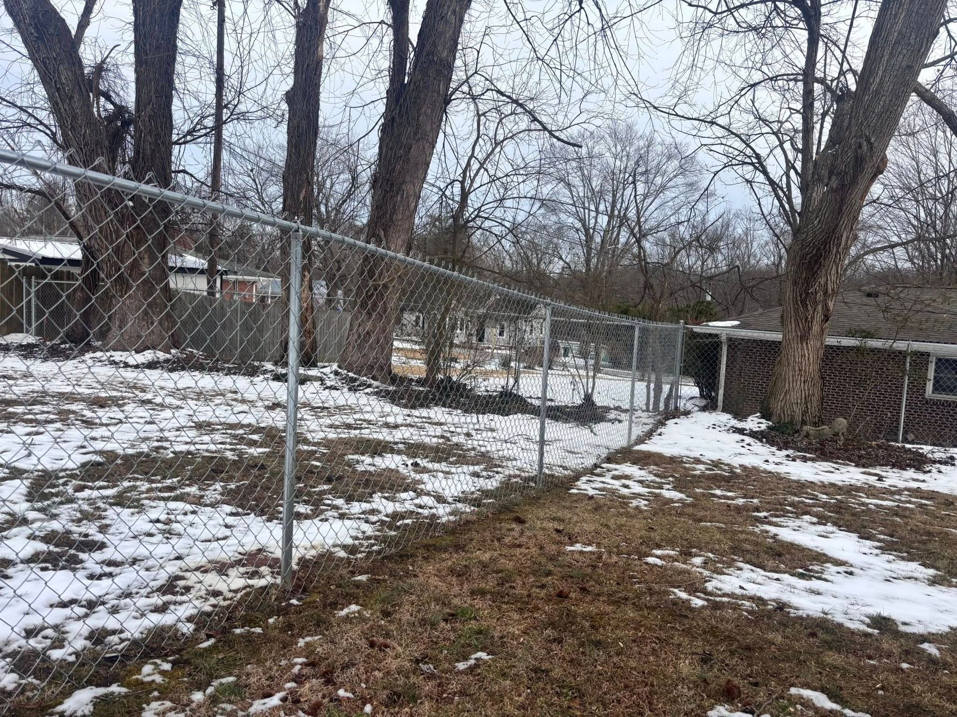 Snowy backyard with a chain-link fence and leafless trees beside a brick house