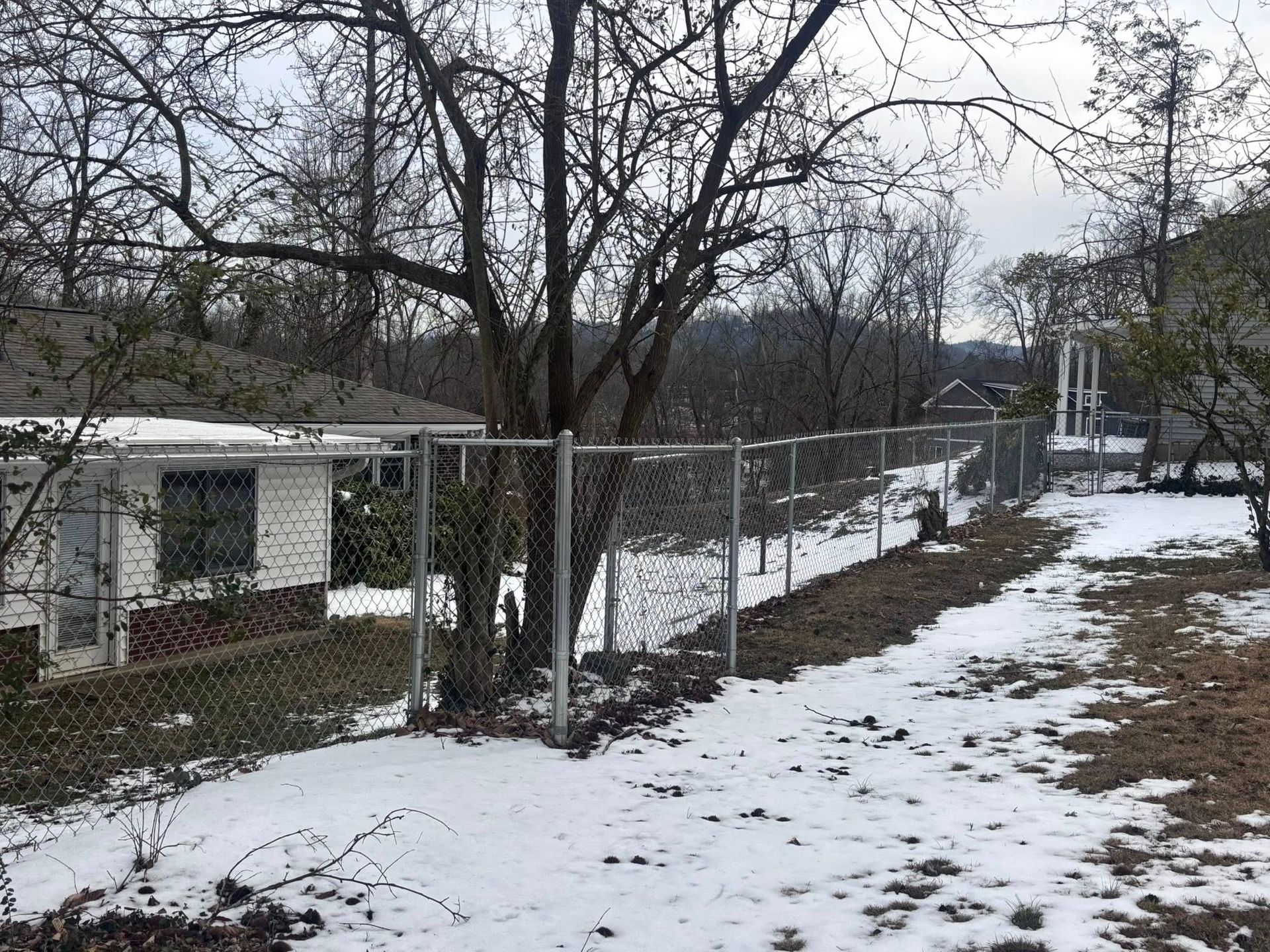 Snowy backyard with chain-link fence, leafless trees, and a small shed beside a narrow path