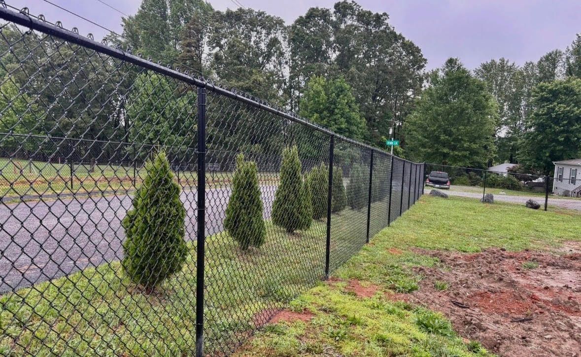 Chain-link fence with young evergreens along a roadside, under a cloudy sky.