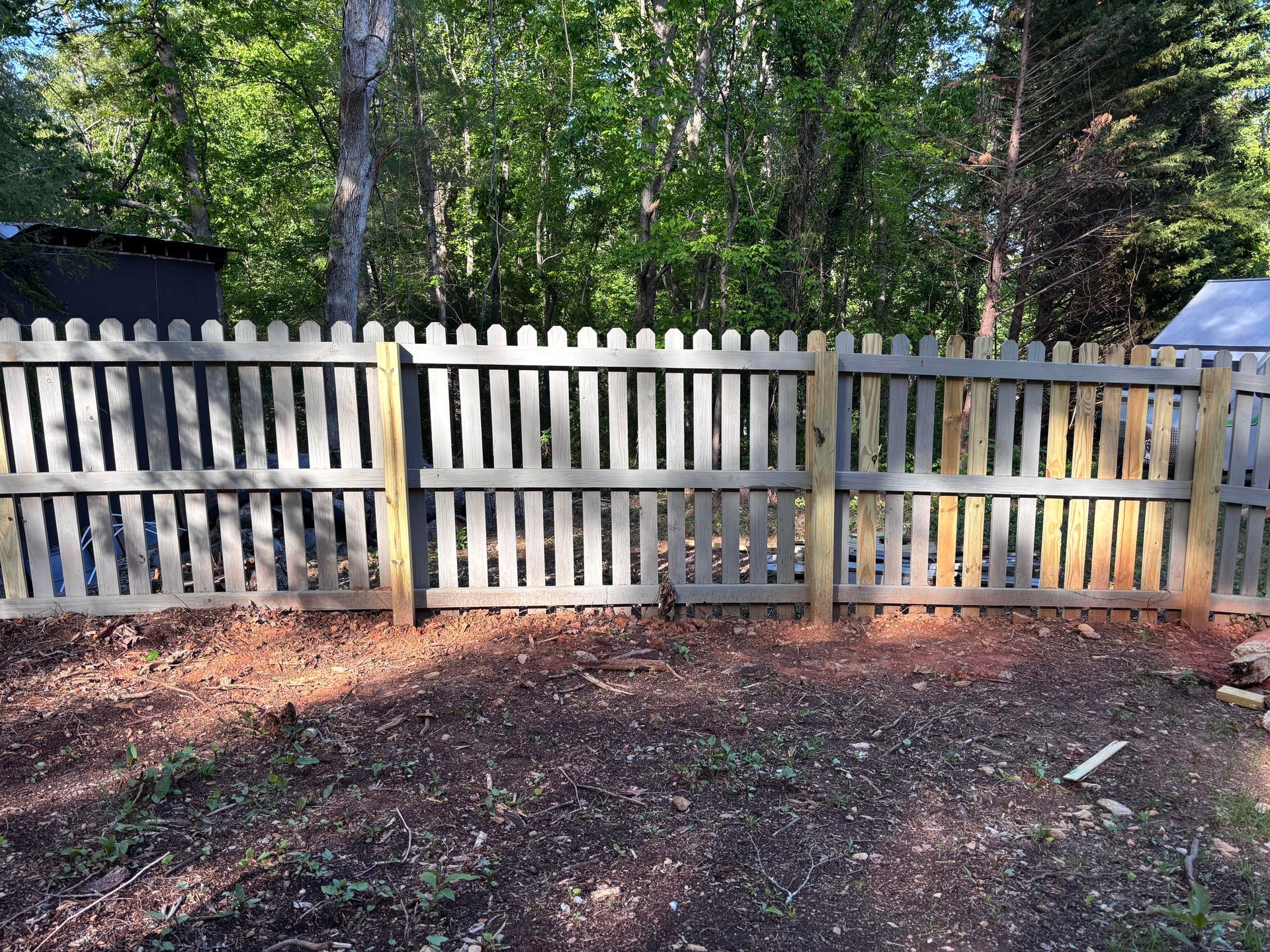 White wooden fence with gates in a wooded yard, lit by sunlight over leaf-covered ground.