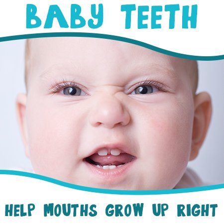 Baby teeth help mouths grow up right with a picture of a baby