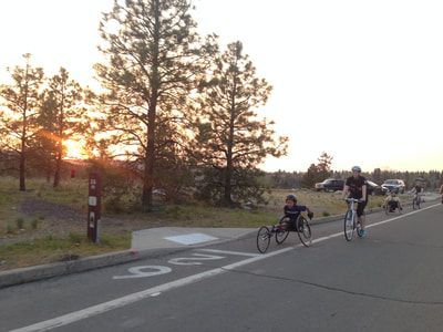 Racers and cyclists ride a bike path at sunset under pine trees